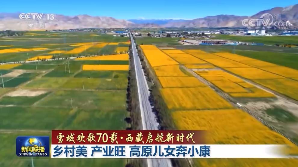 乡村美 产业旺 高原儿女奔小康2.jpg