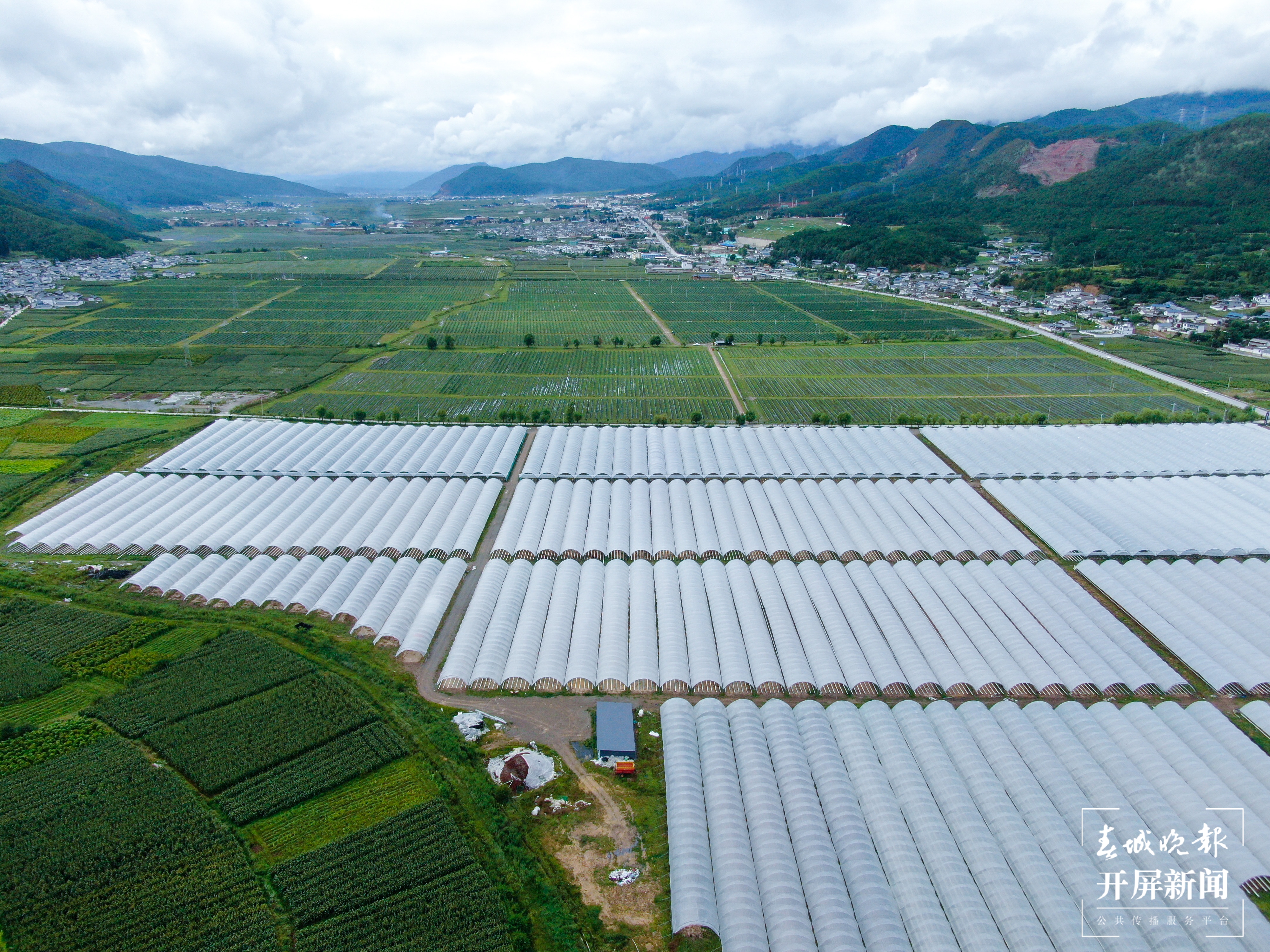 俯瞰草莓种植基地大棚 刘畅摄.jpg