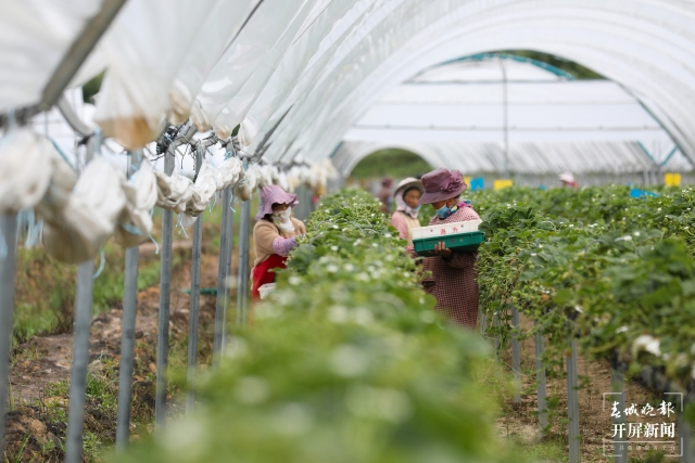 附近村民在认真工作  刘畅摄.jpg