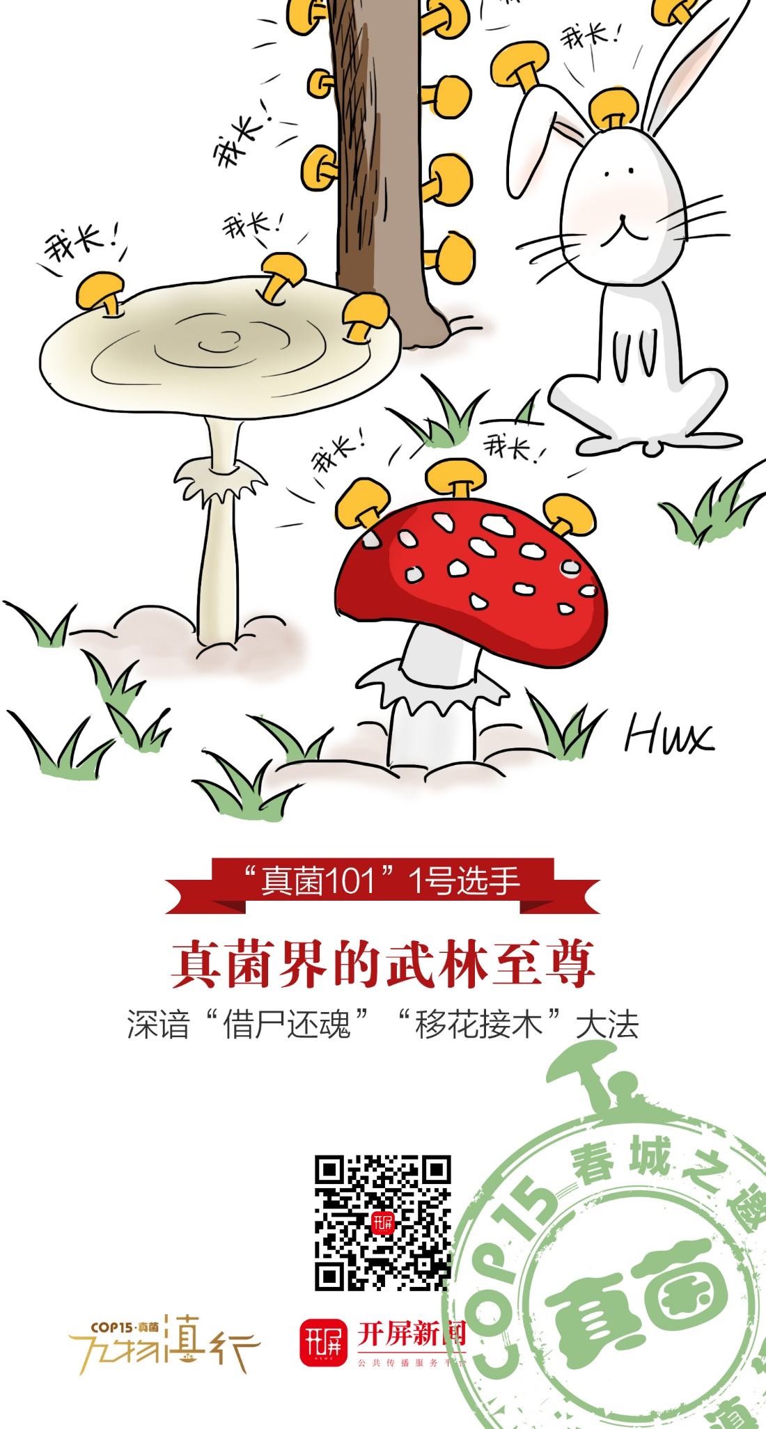 【万物滇行】菌瘿伞海报