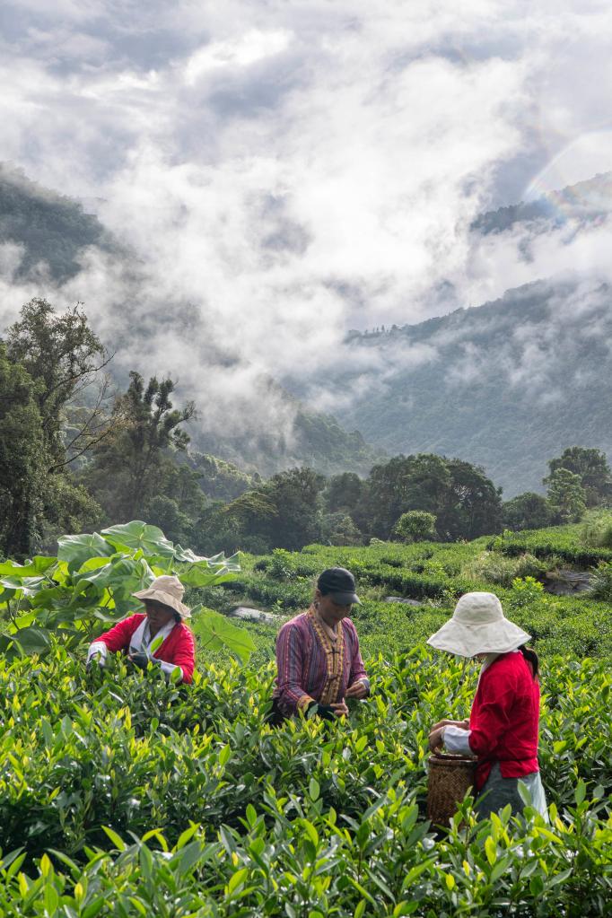 雪域欢歌70载·西藏启航新时代｜门珞民族的新生