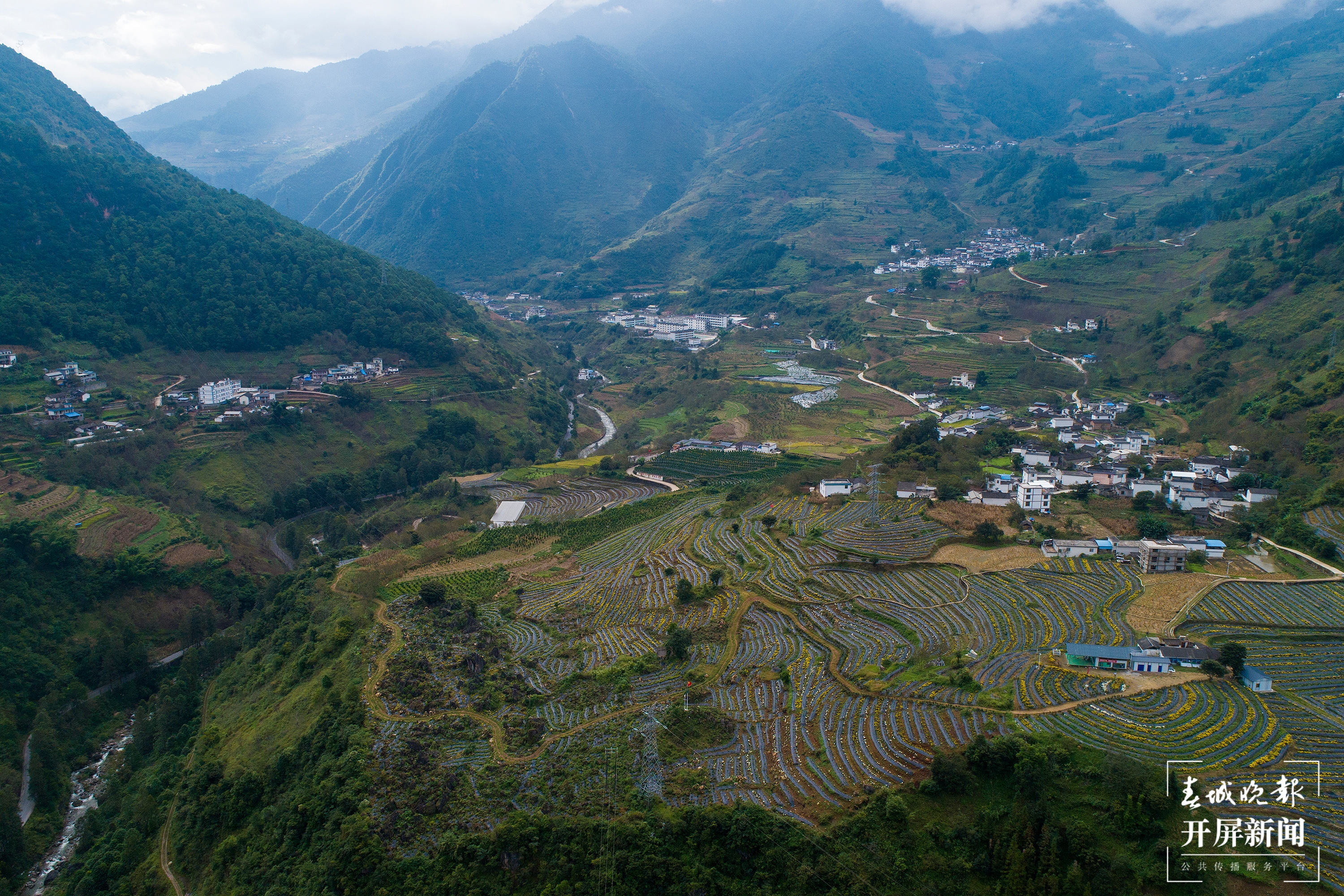【民族团结进步看怒江】老窝村：“多多橘园”助力群众致富