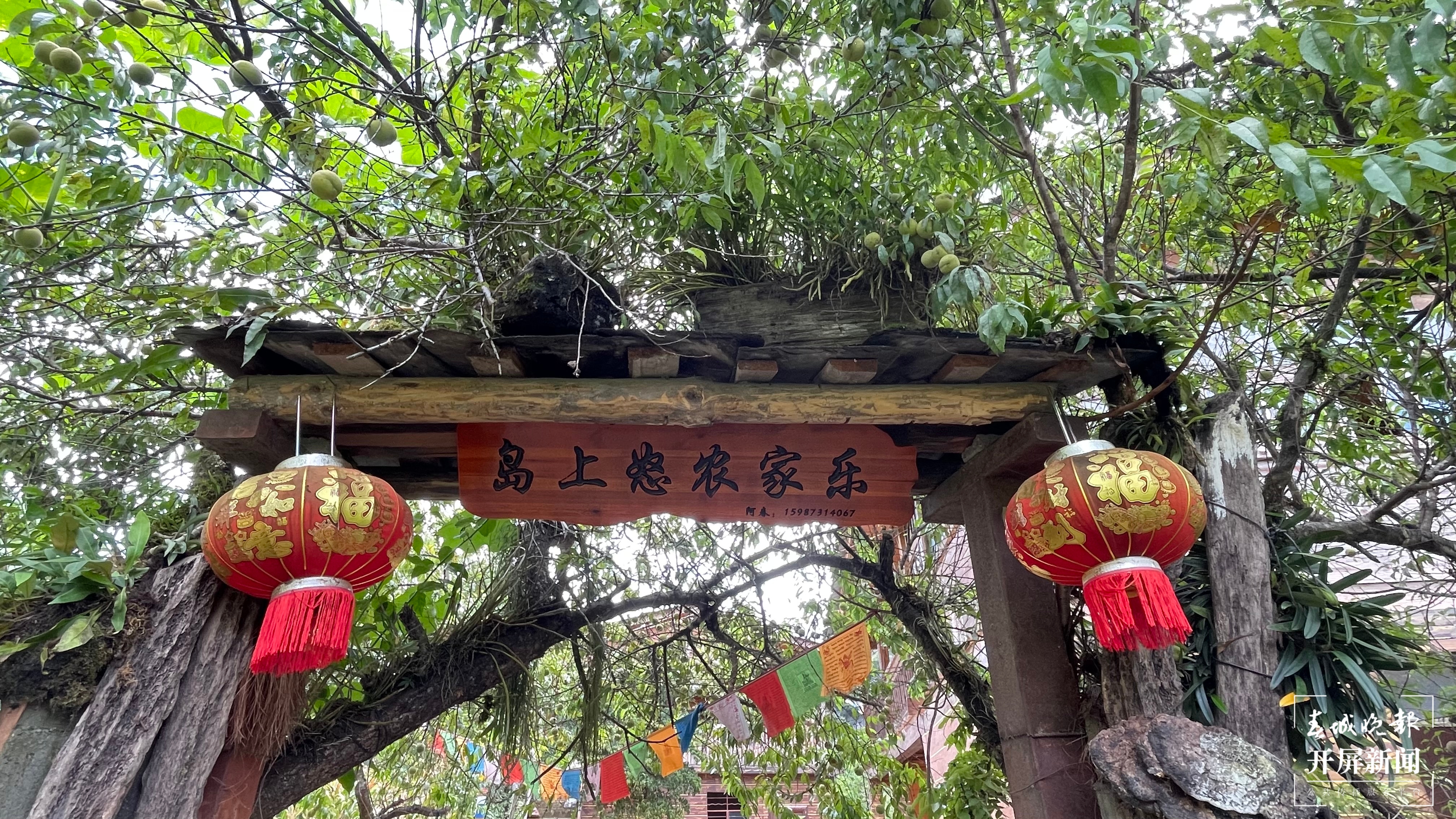 阿春家的农家乐 赵丽槐摄 (1).JPG