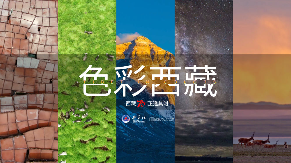 色彩西藏6.jpg