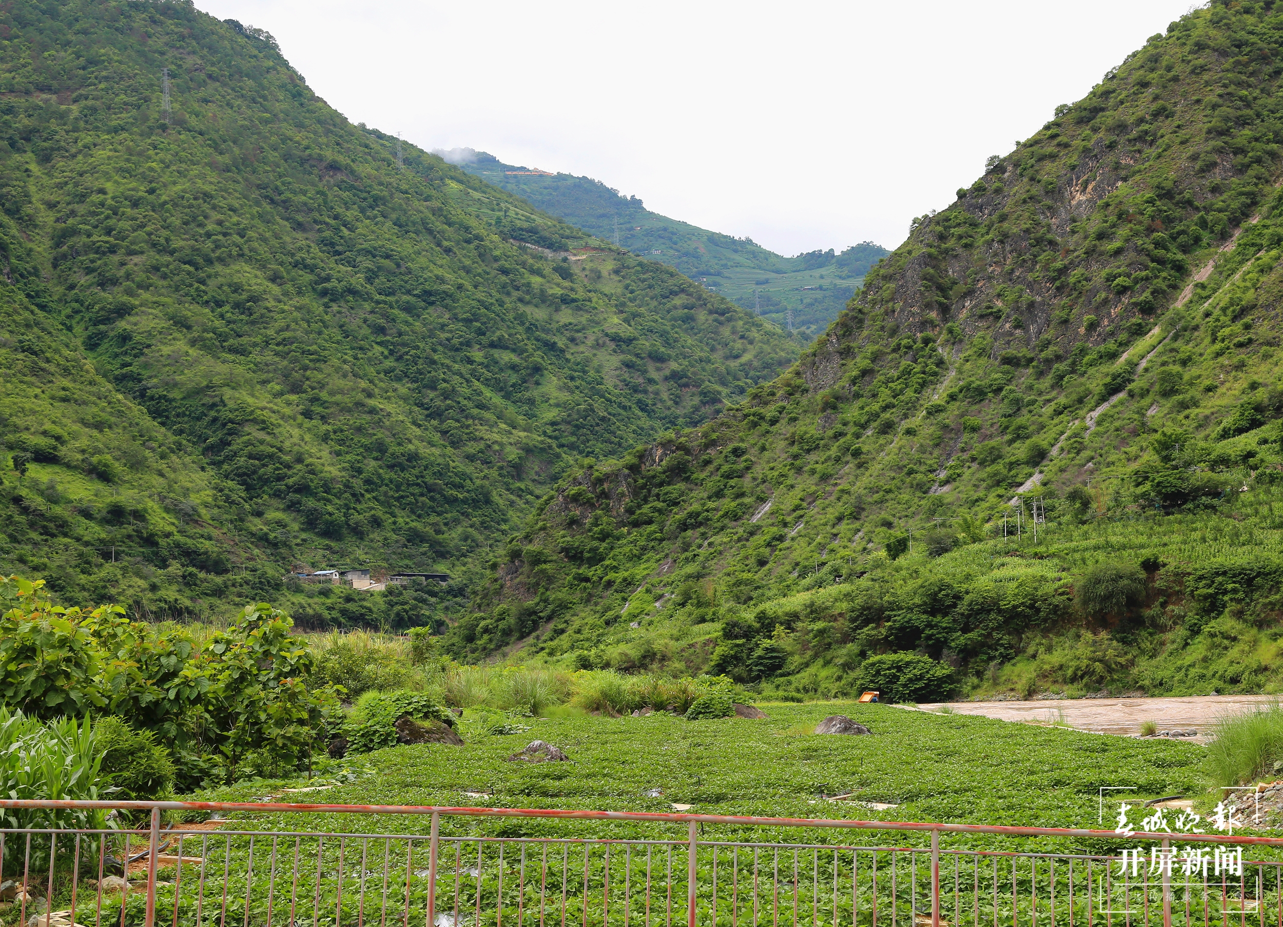 【民族团结进步看怒江】方寸间“微菜园”，社区里“大民生”