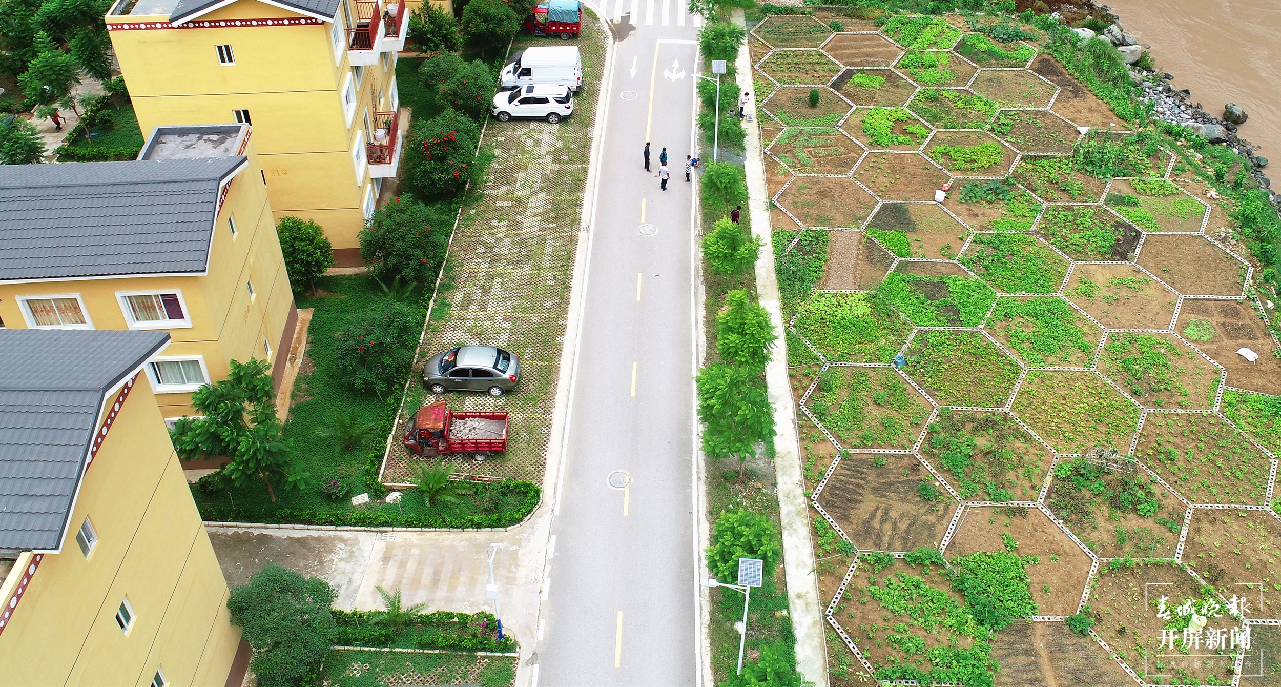 【民族团结进步看怒江】方寸间“微菜园”，社区里“大民生”