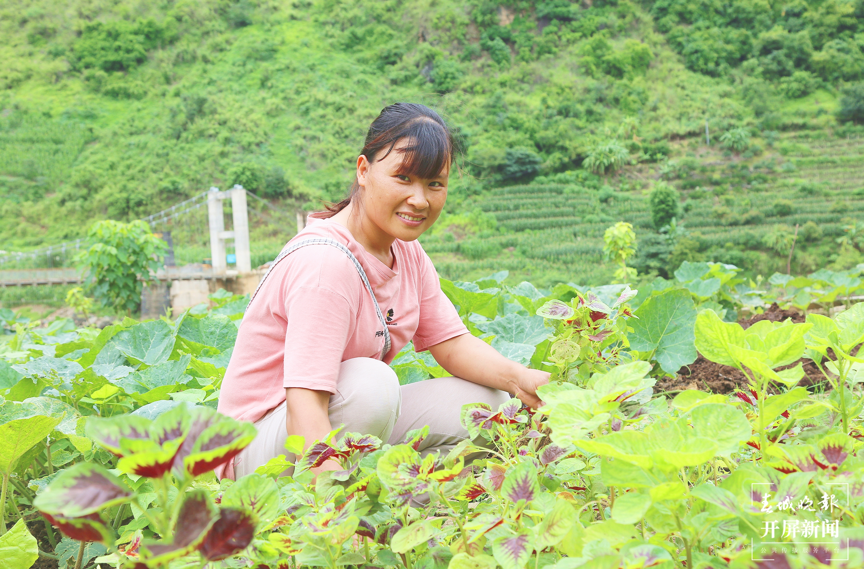 【民族团结进步看怒江】方寸间“微菜园”，社区里“大民生”