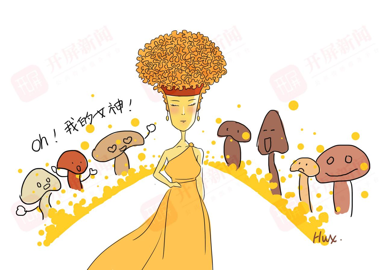 【万物滇行】真菌篇 金耳