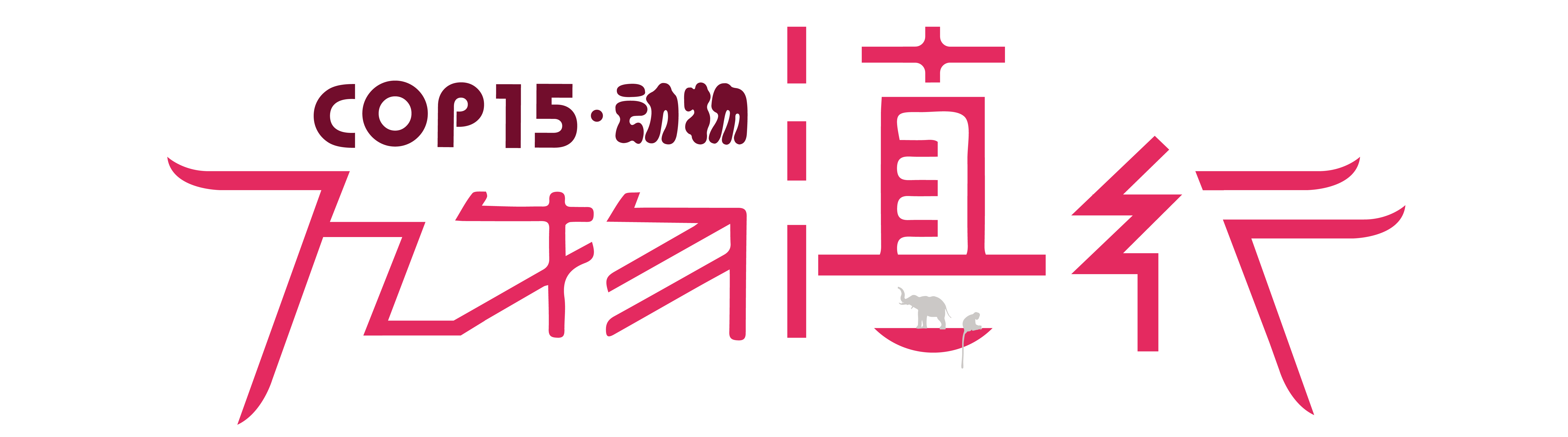 COP15 万物滇行 动物