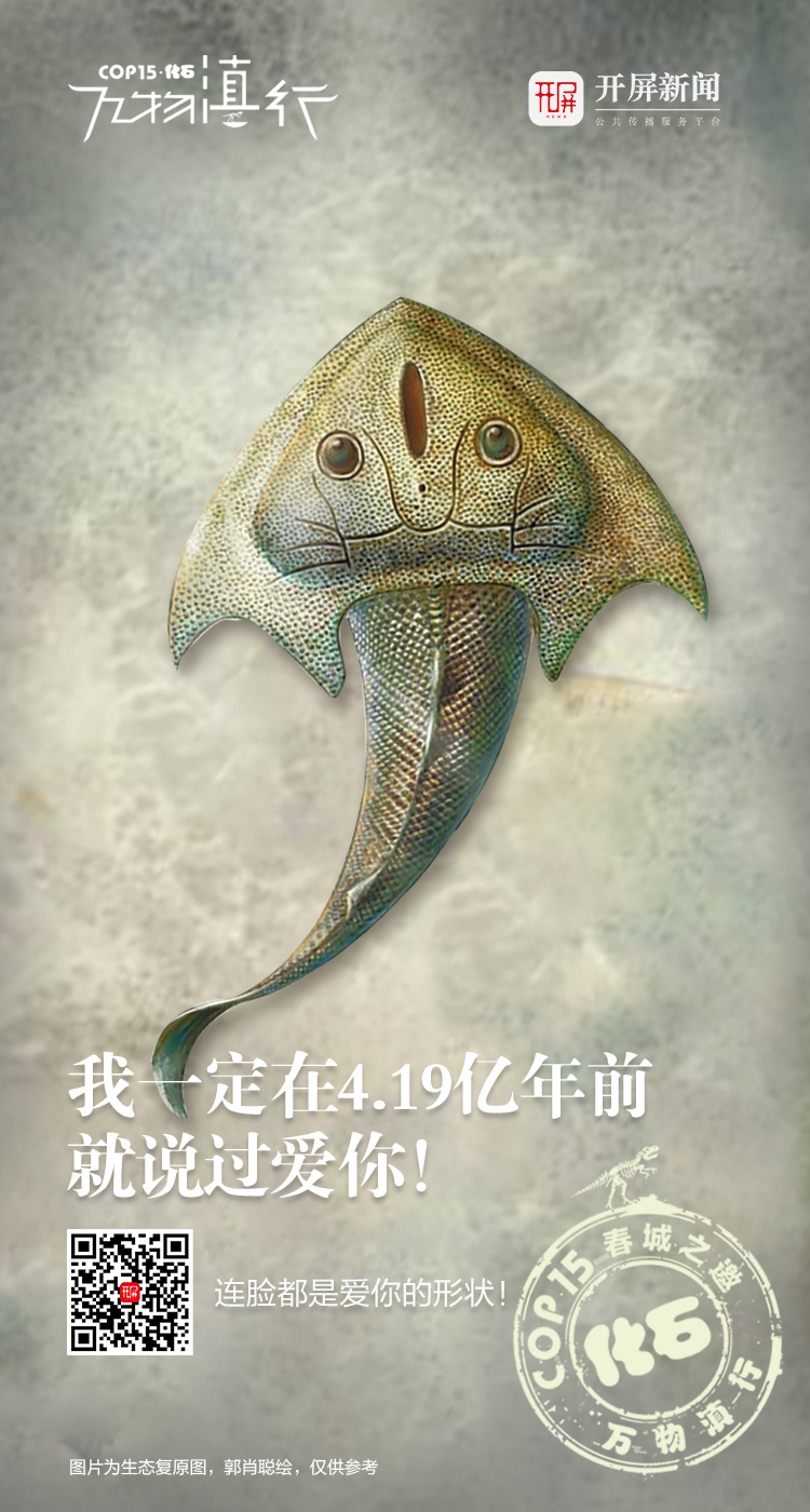 万物滇行 刘氏镰角鱼