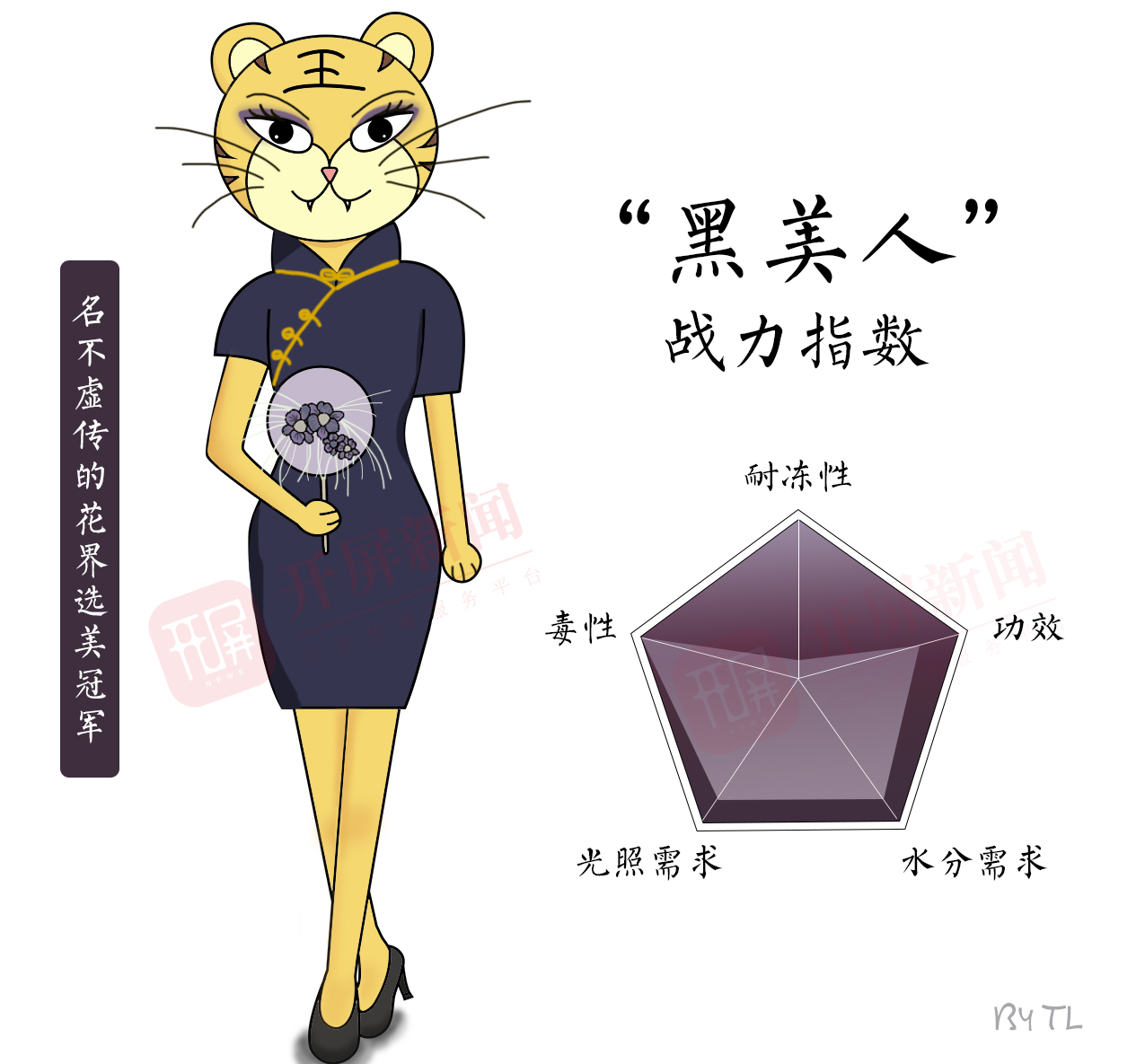 万物滇行 老虎须.jpeg