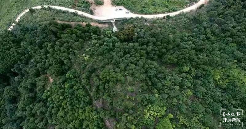 三代西畴林场人 用爱守护青山4.jpg