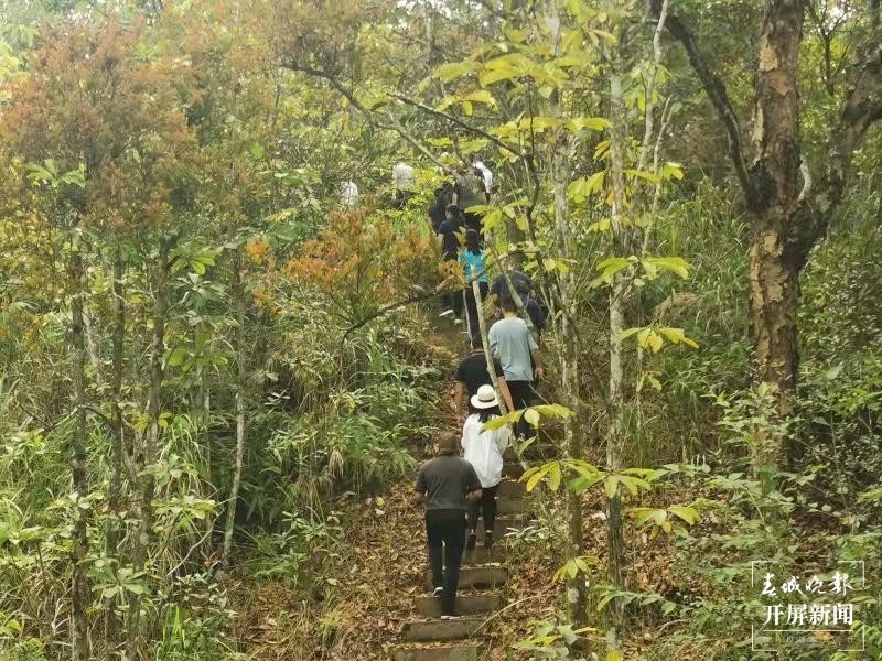 三代西畴林场人 用爱守护青山3.jpg