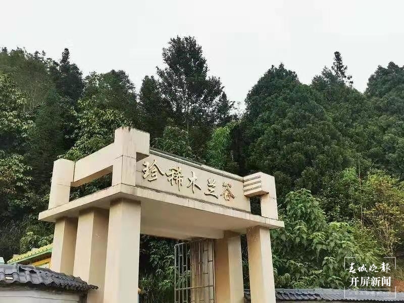 三代西畴林场人 用爱守护青山2.jpg