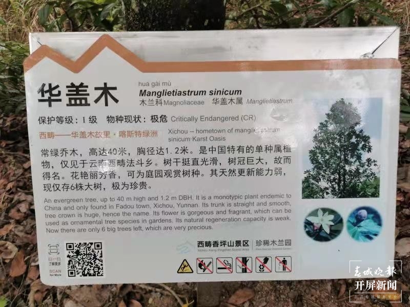 三代西畴林场人 用爱守护青山5.jpg