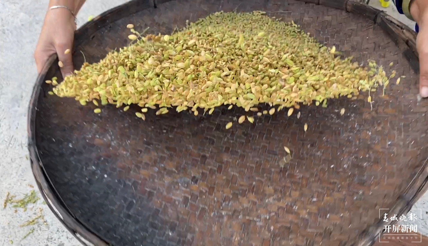 走进绿色文山｜“扁米”，文山广南八宝镇的壮族传统美食