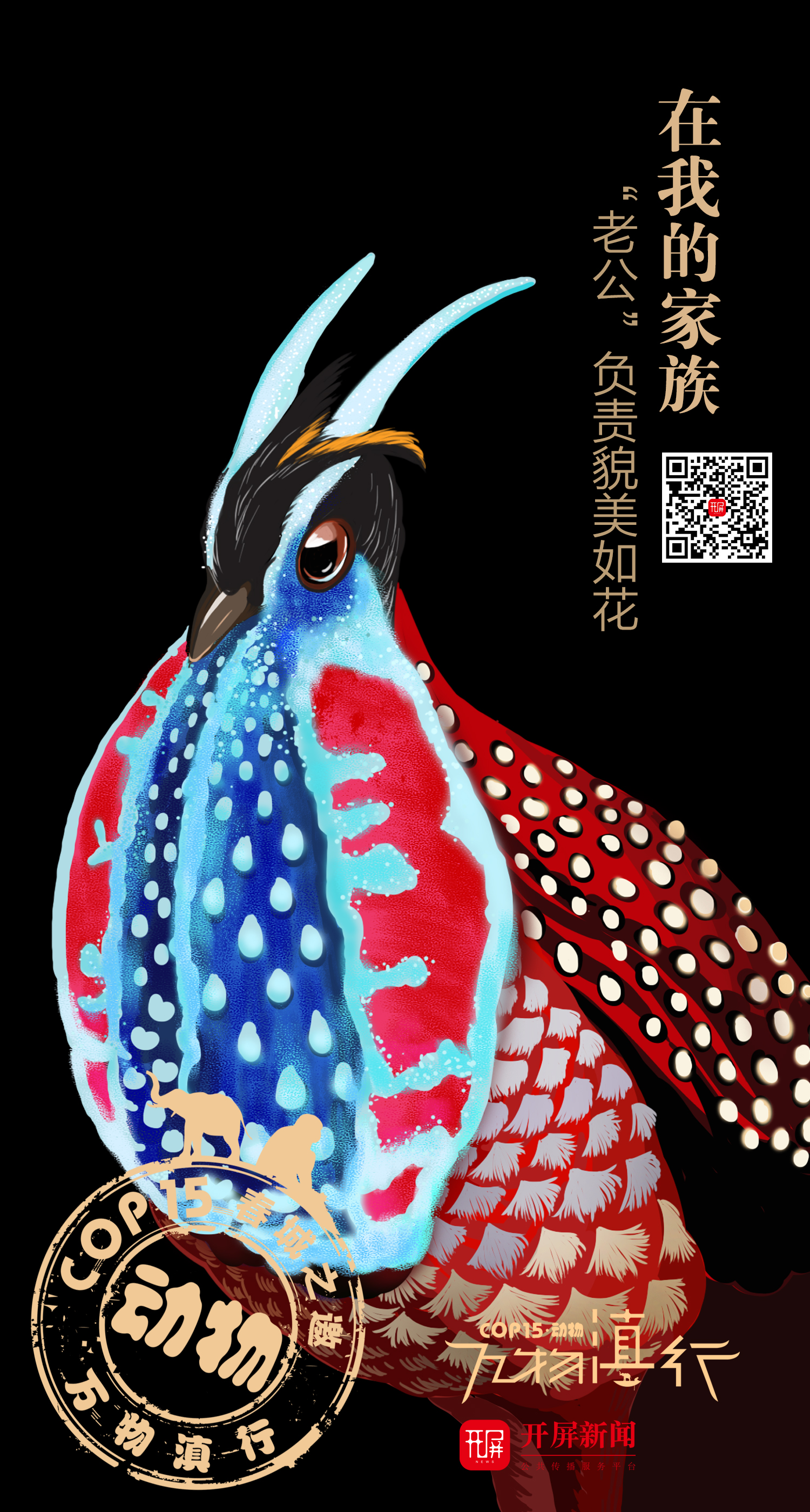 万物滇行 红腹角雉