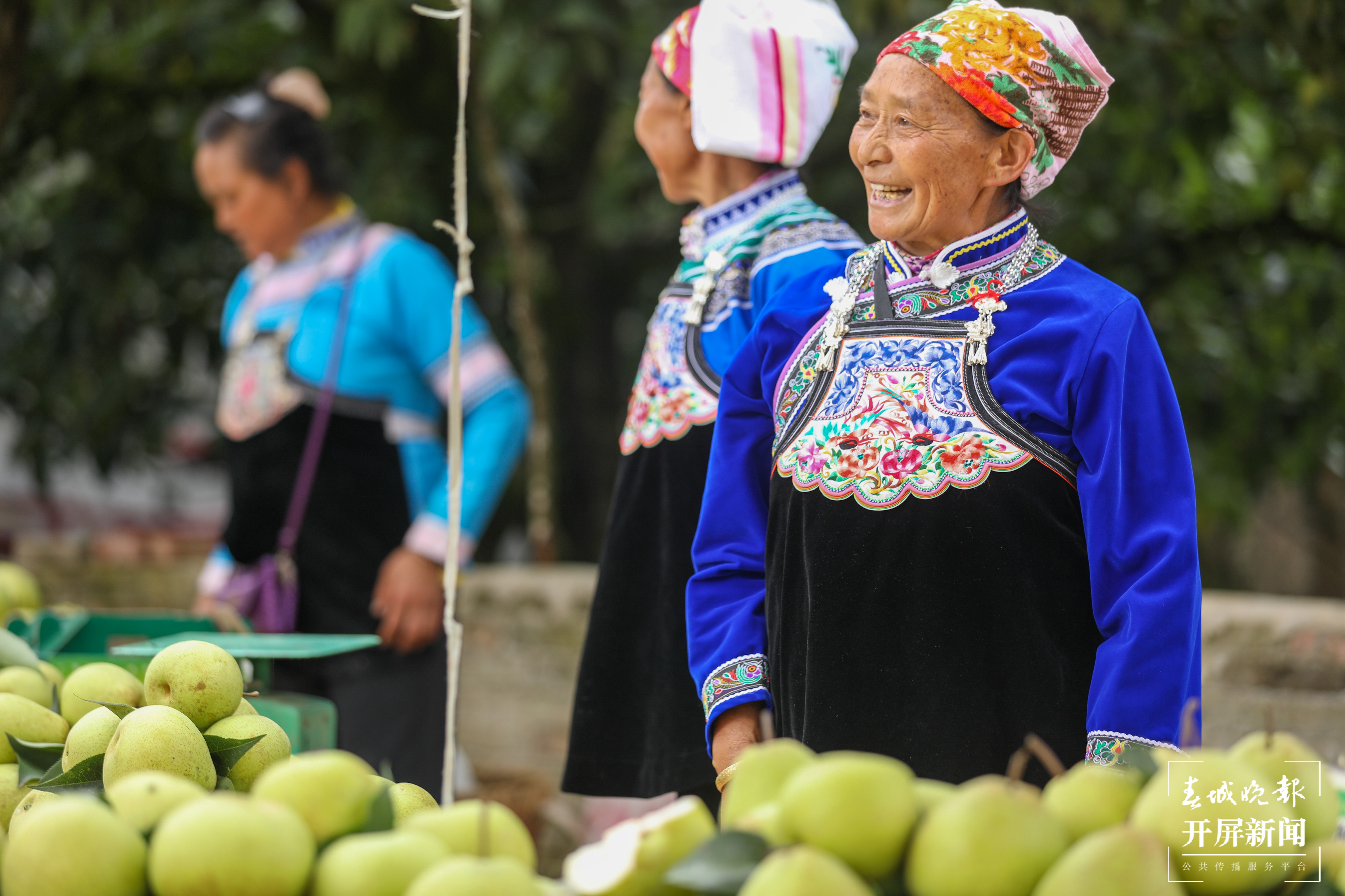 梨树越种越好 日子越过越甜4.jpg