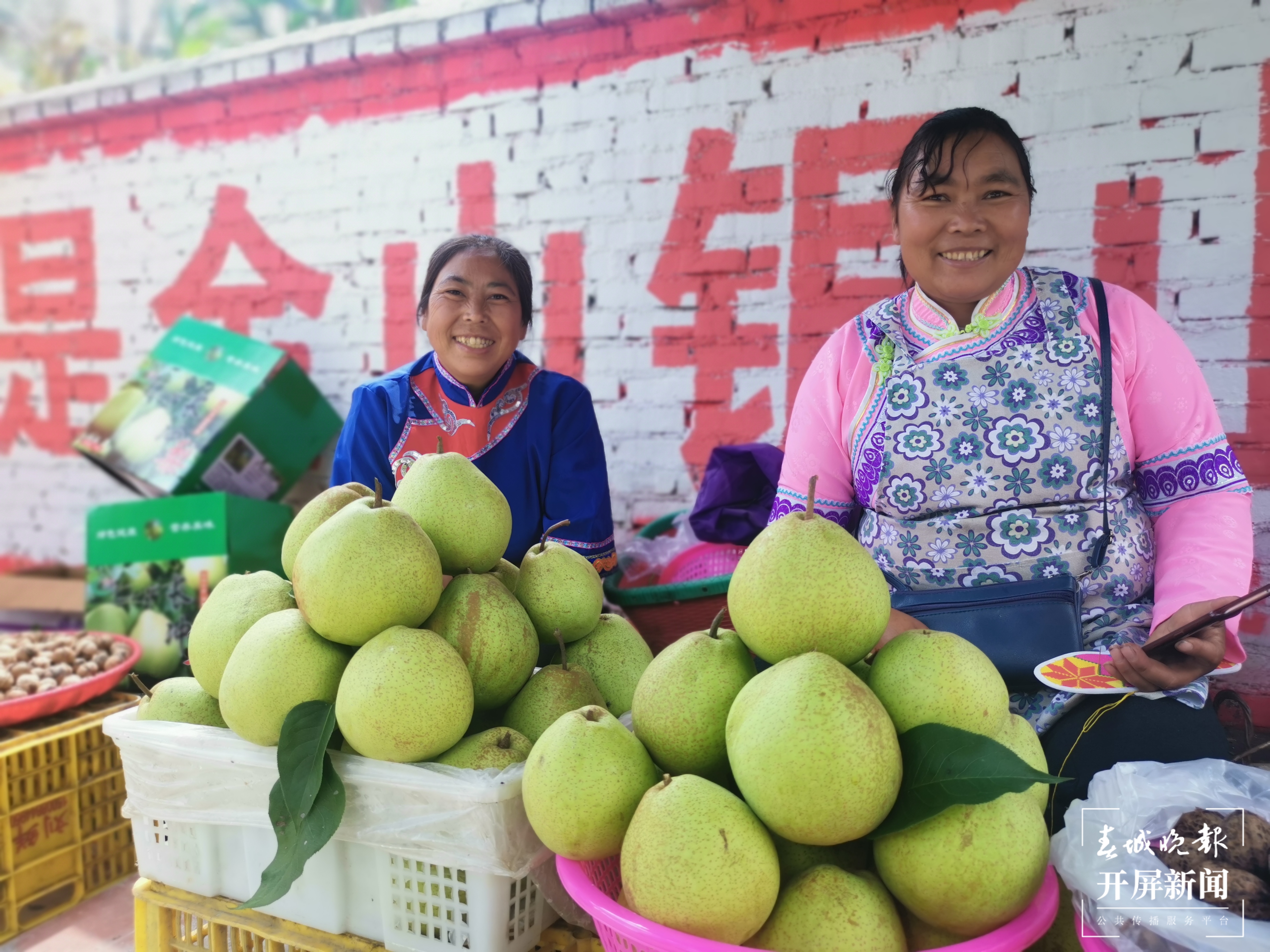 梨树越种越好 日子越过越甜1.jpg