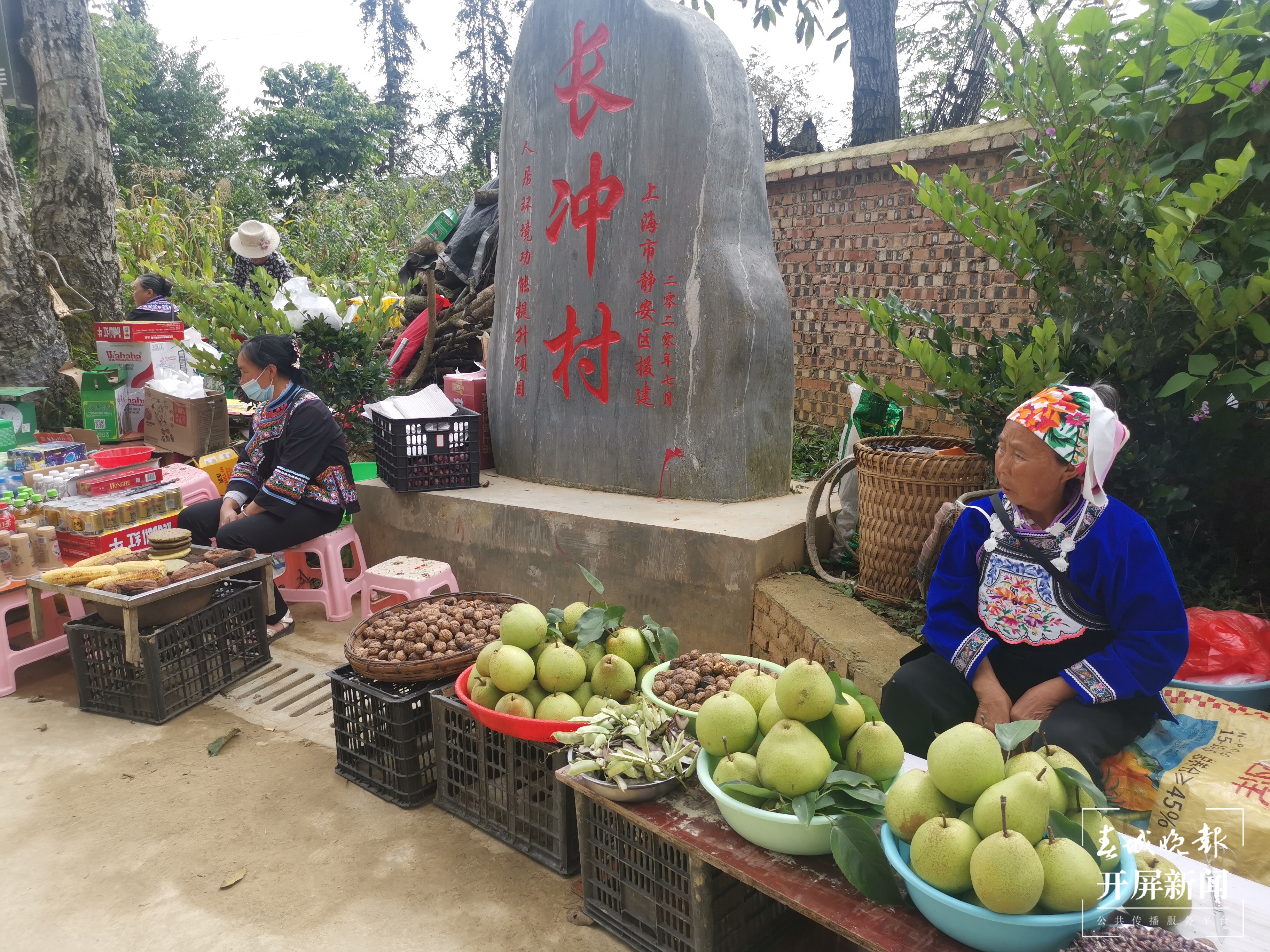 梨树越种越好 日子越过越甜2.jpg