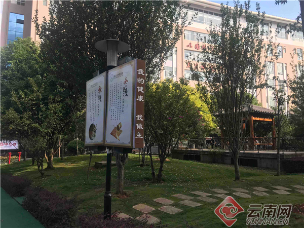 砚山县中医医院“大健康观”6.jpg