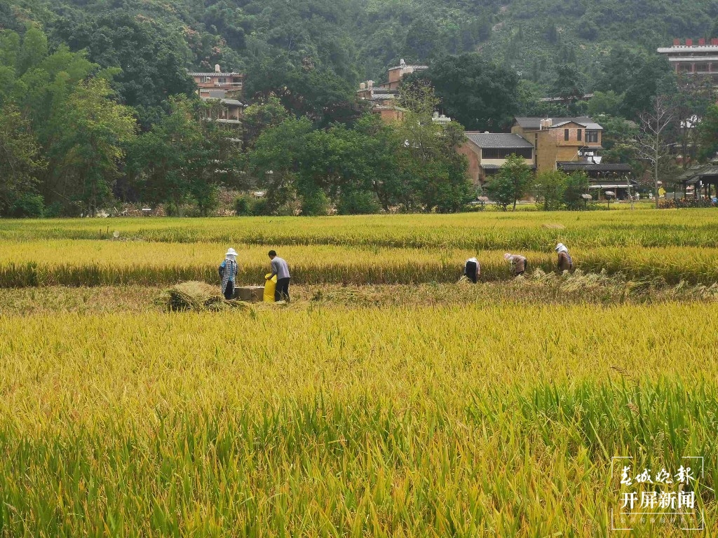 走进广南坝美，探秘“世界的世外桃源”5.jpg