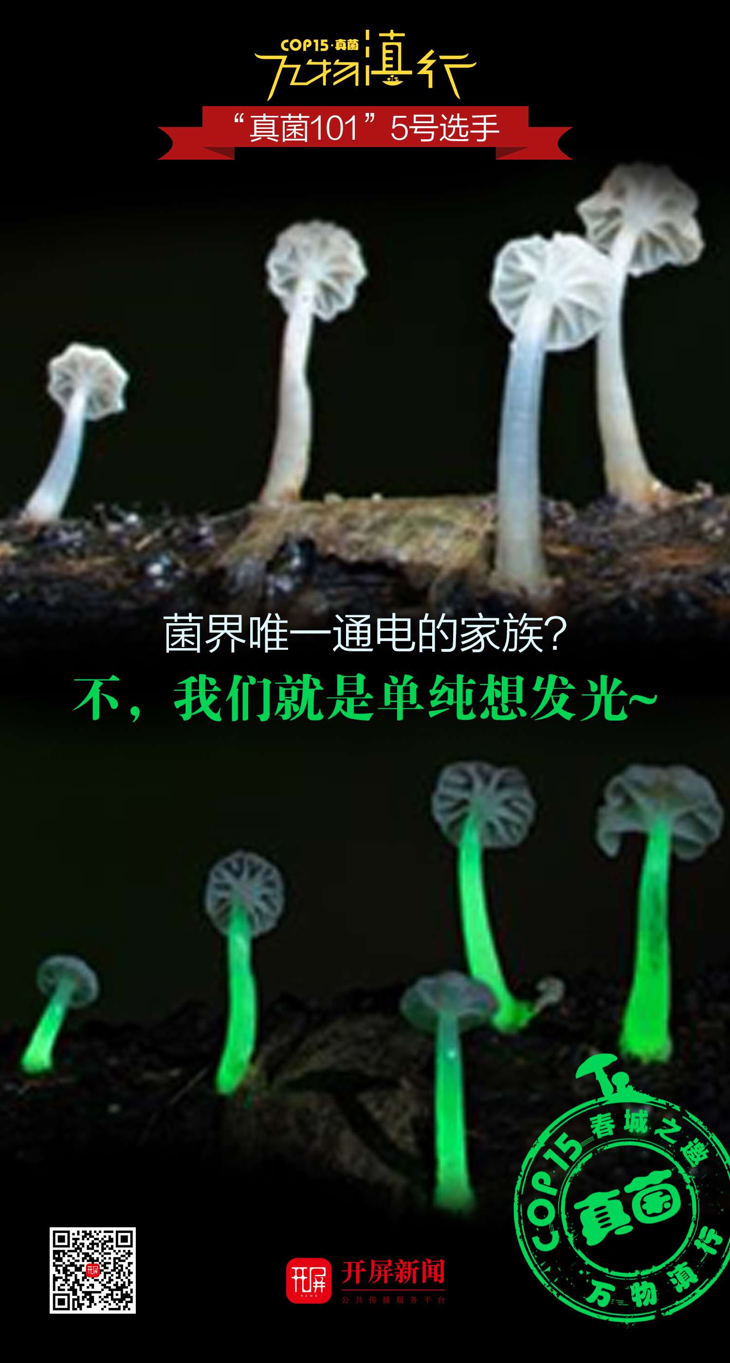【万物滇行】真菌篇——发光蘑菇海报.jpg