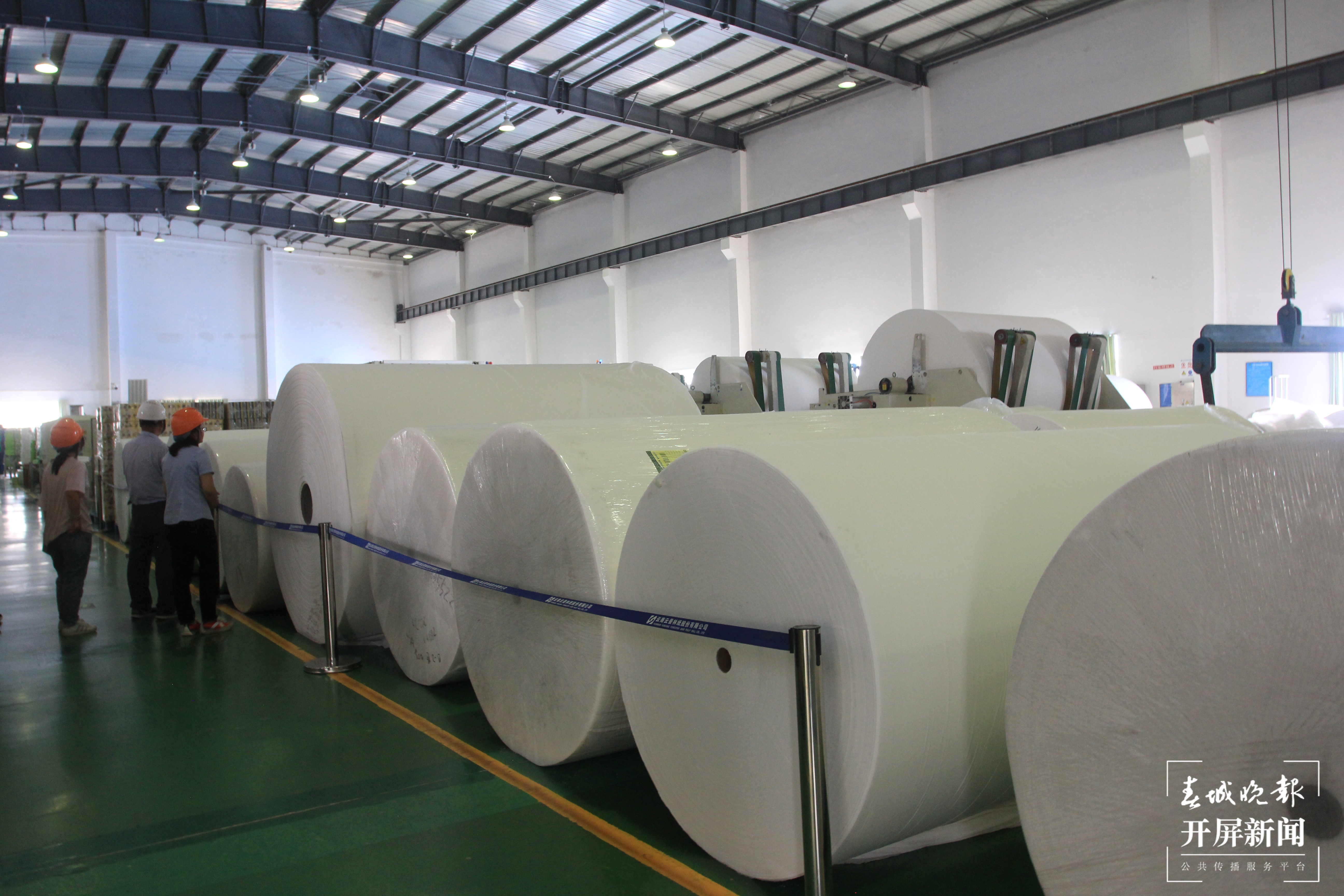 新征程上的普洱实践 | 景谷：现代林产业让绿水青山成为金山银山