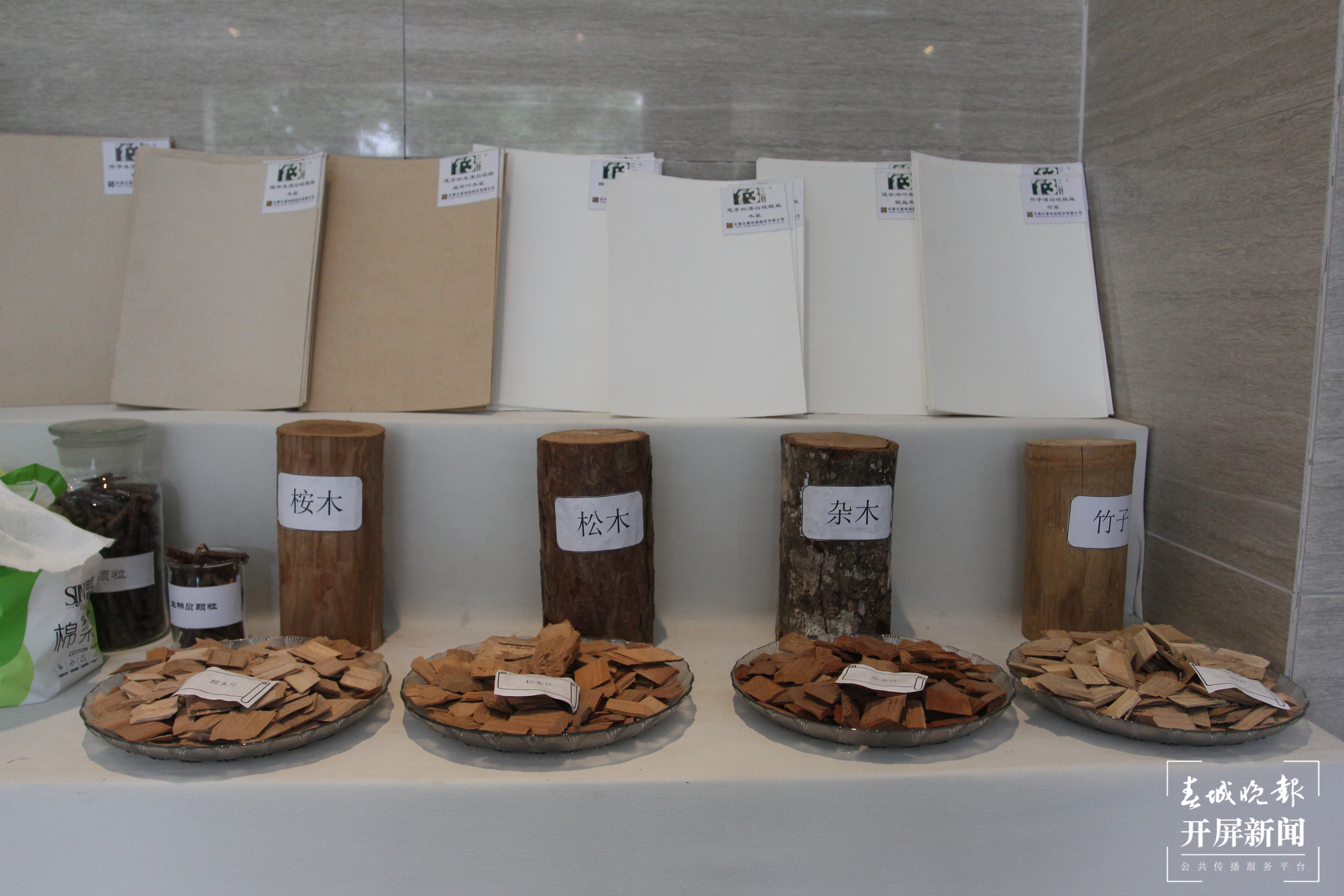 新征程上的普洱实践 | 景谷：现代林产业让绿水青山成为金山银山