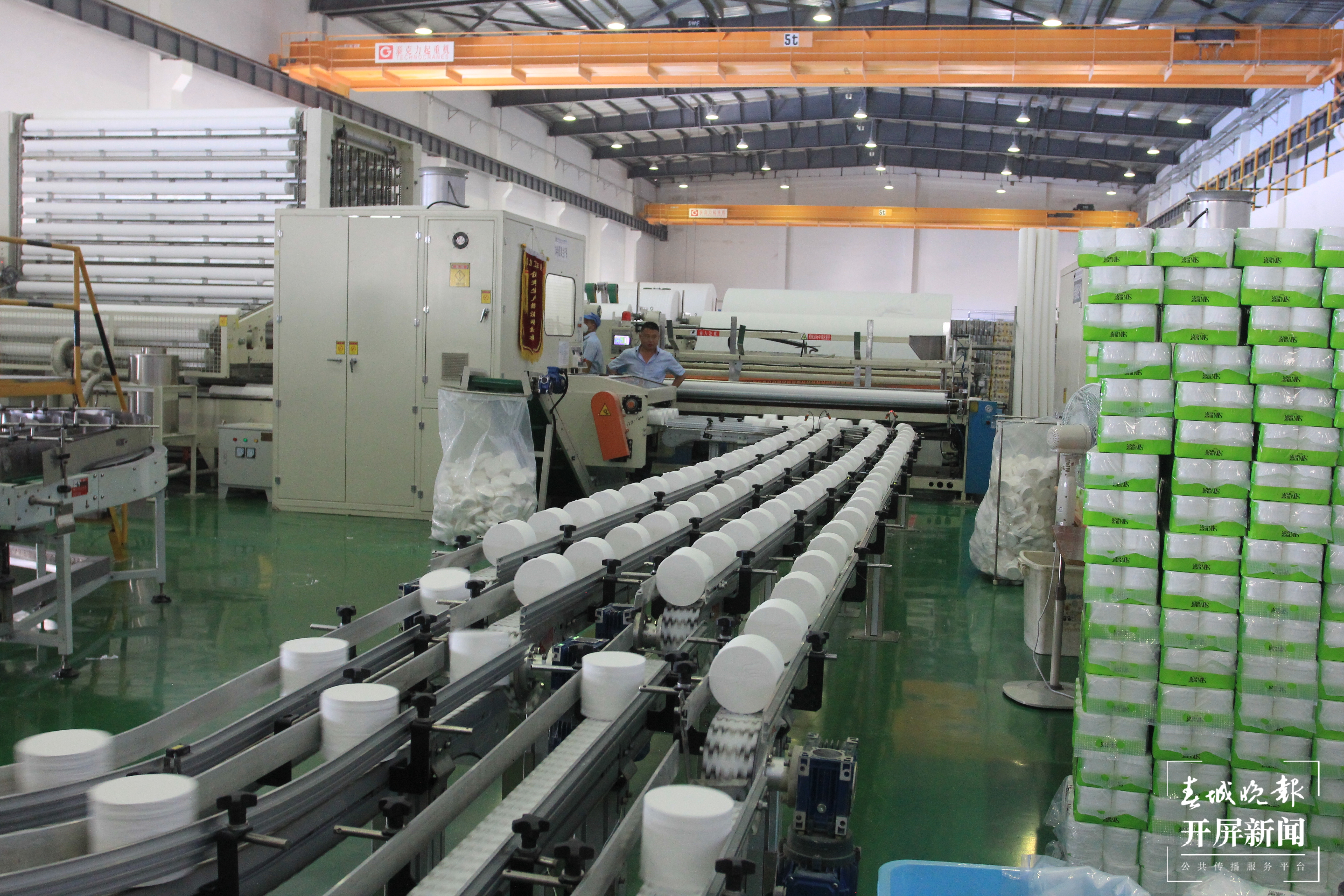 新征程上的普洱实践 | 景谷：现代林产业让绿水青山成为金山银山