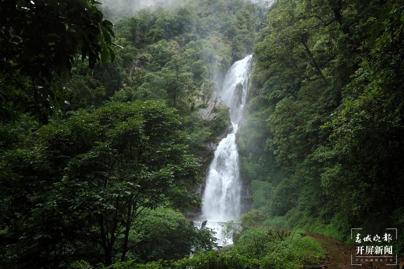 镇沅“不纠结”，要用5年时间叫响“千家寨爷号”这一品牌