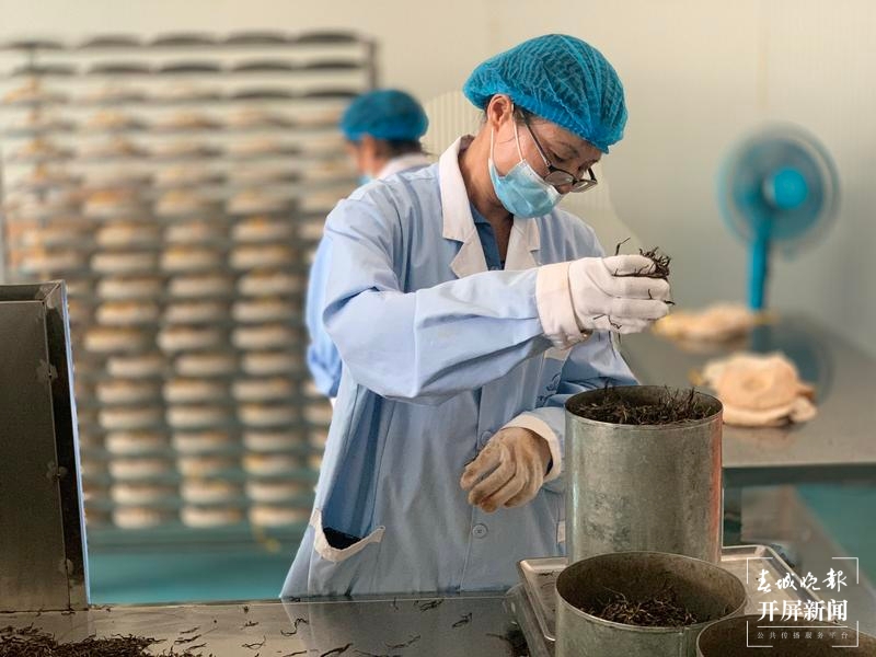 镇沅“不纠结”，要用5年时间叫响“千家寨爷号”这一品牌