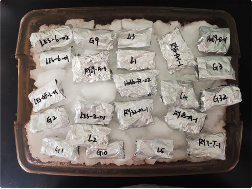 神舟十二号载人飞船携云南“航天菌种”回归 