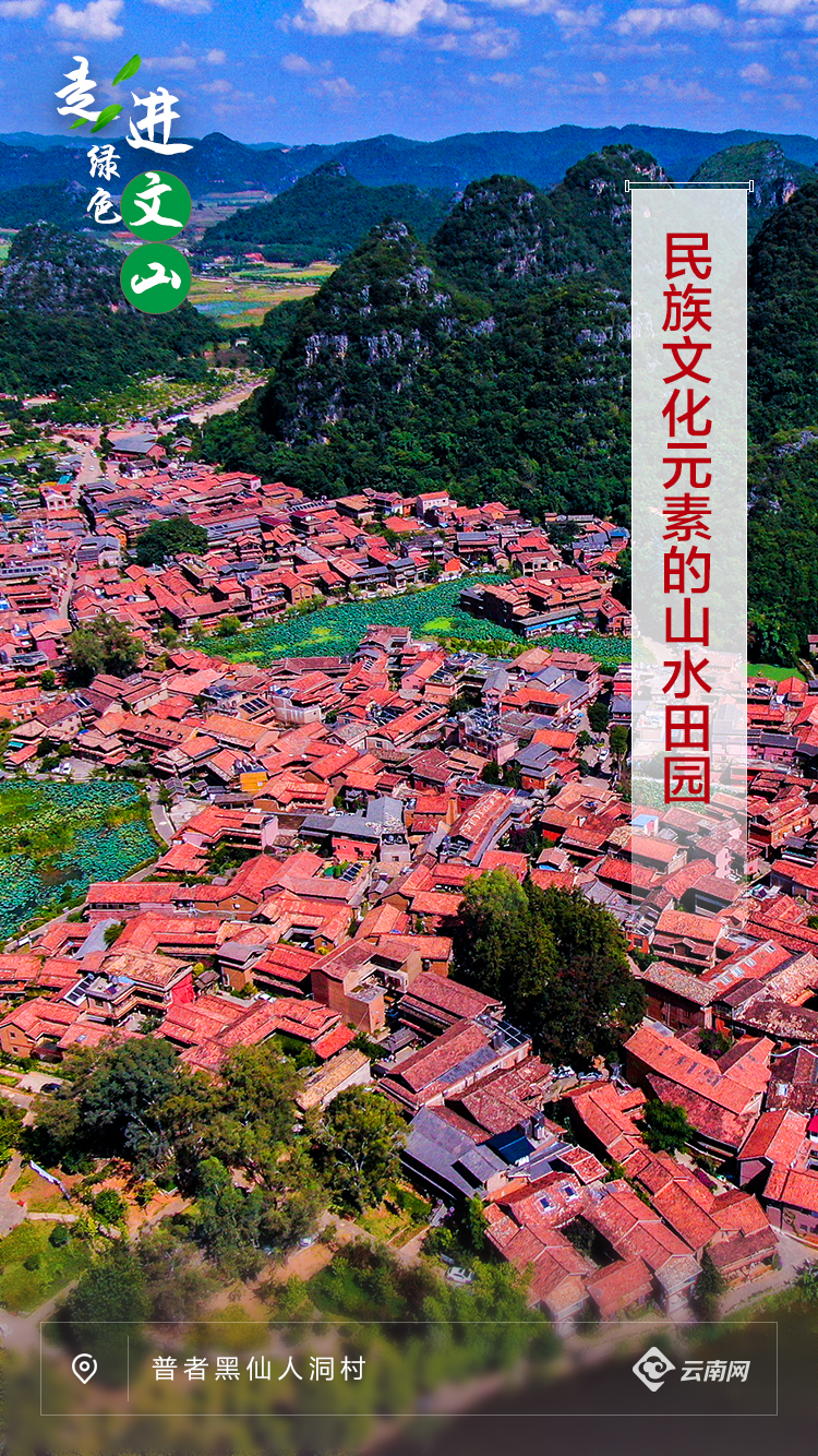 走进绿色文山丨绿色大地上的“彩”文山