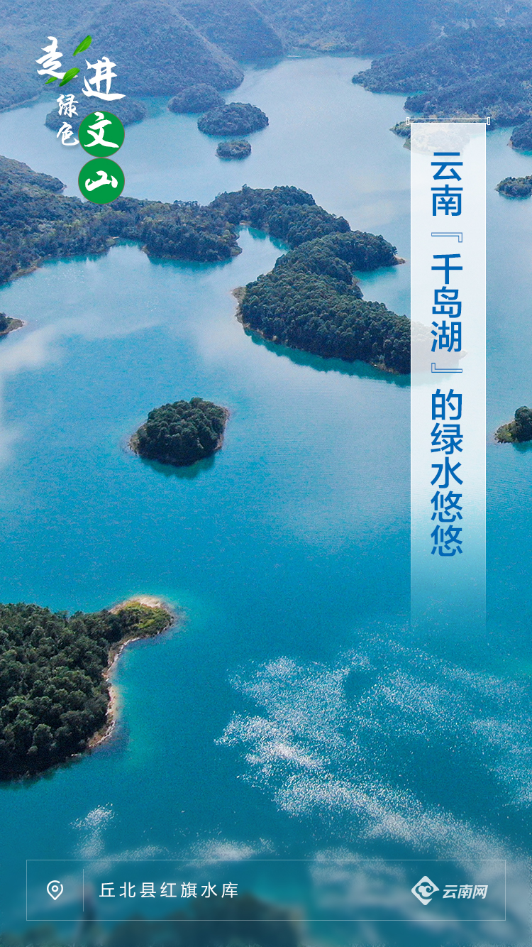 走进绿色文山丨绿色大地上的“彩”文山