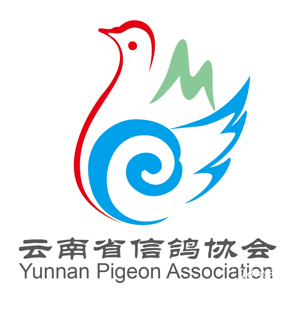 大理鸽协杜光文