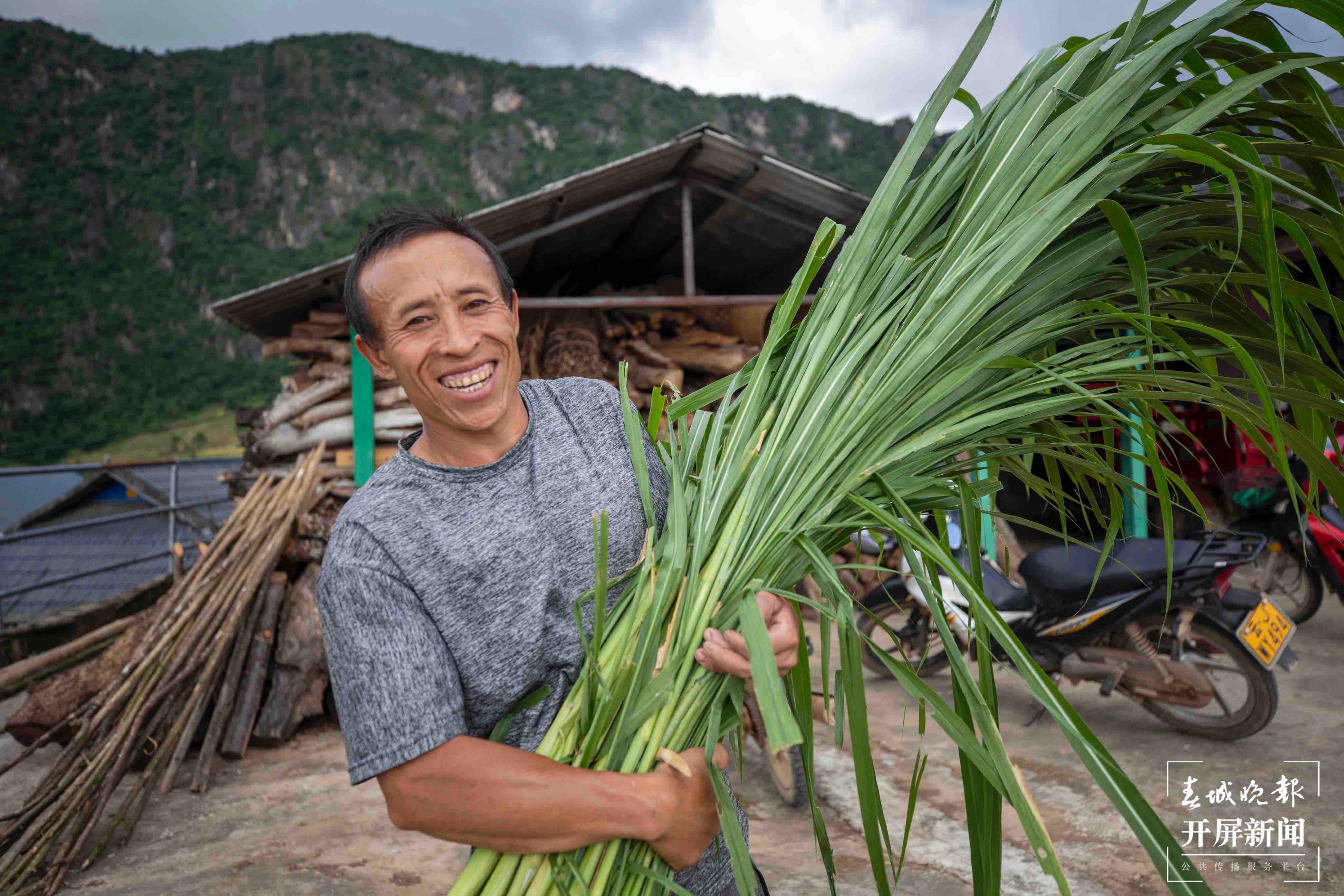 新征程上的普洱实践 | 西盟县勐梭镇秧洛村: 八条“牛”政策 让村民日子“牛”起来