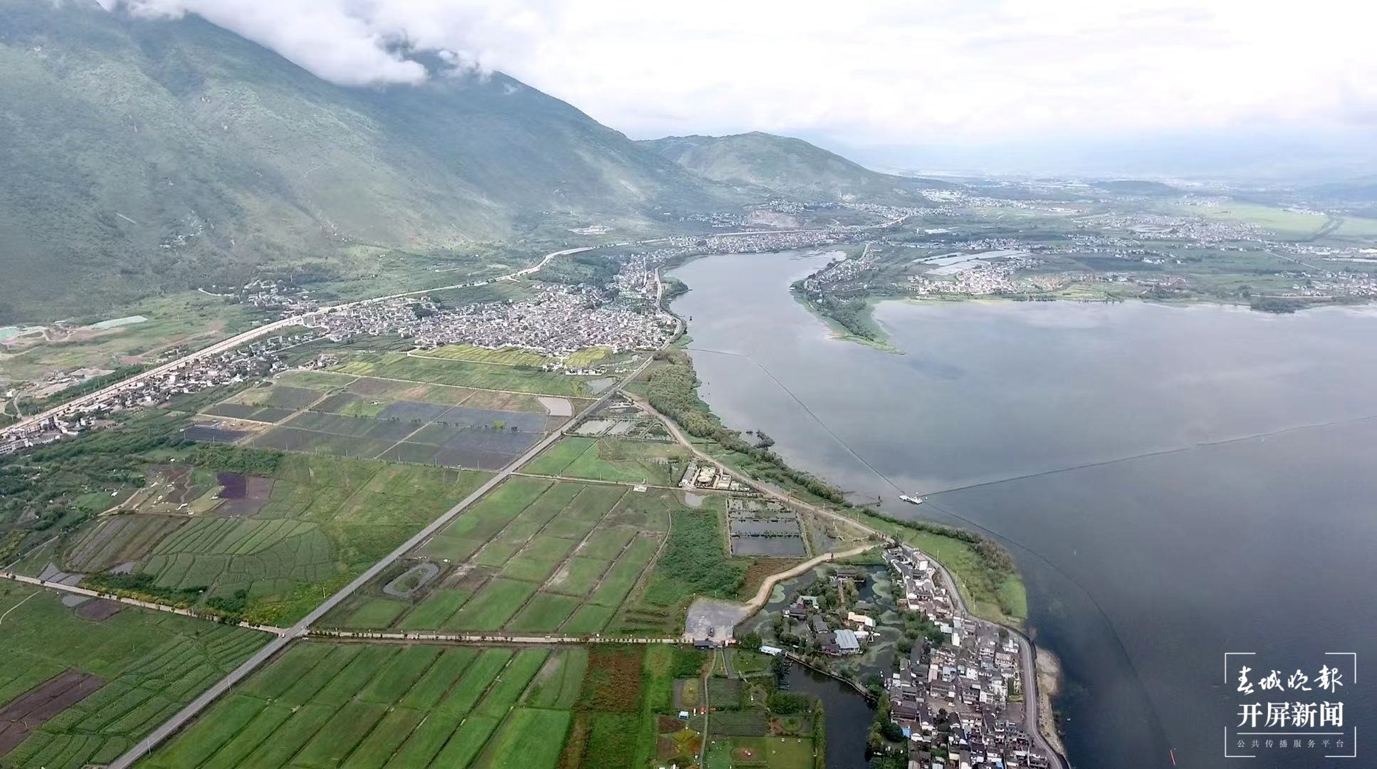 大理鸽协杜光文