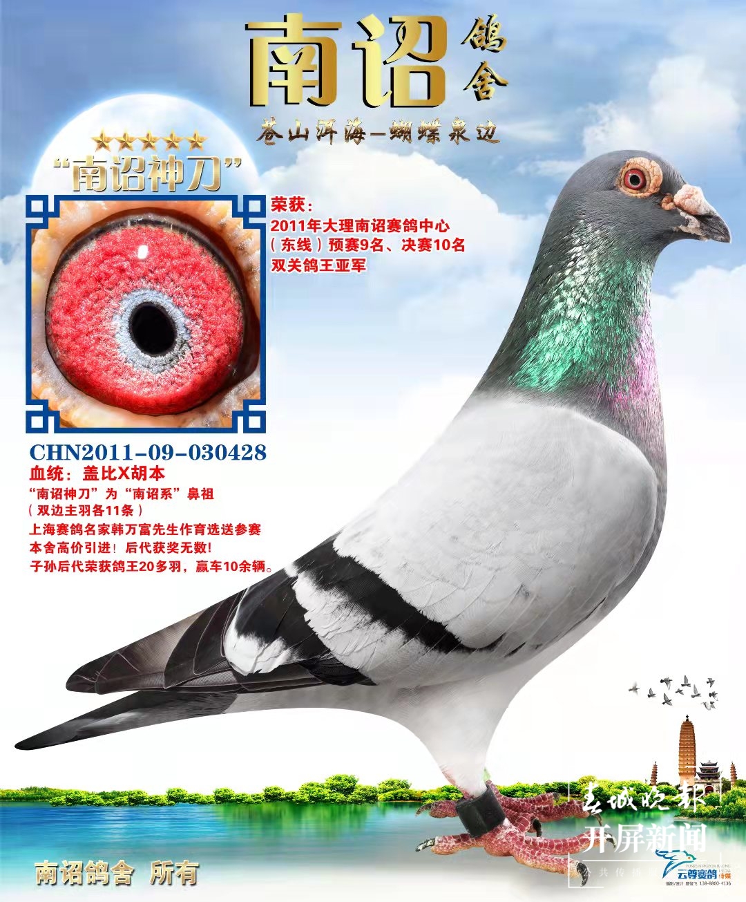 大理鸽协杜光文