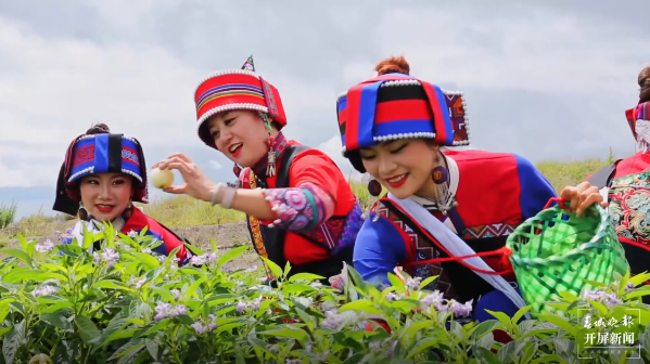 “我们的丰收节——走进美丽石林”23日启幕