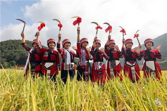 2021年石林彝族自治县农民丰收节(11527359)-20210923140012.JPG 20