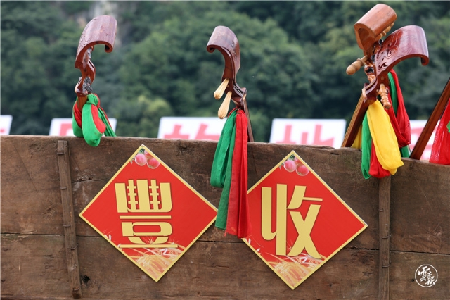 2021年石林彝族自治县农民丰收节(11527362)-20210923140020.JPG 20