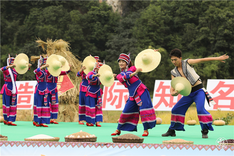 让更多人感受这边的“丰”景独好（图自云报客户端）