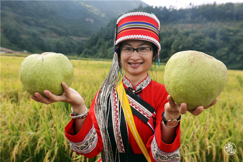 让更多人感受这边的“丰”景独好（图自云报客户端）
