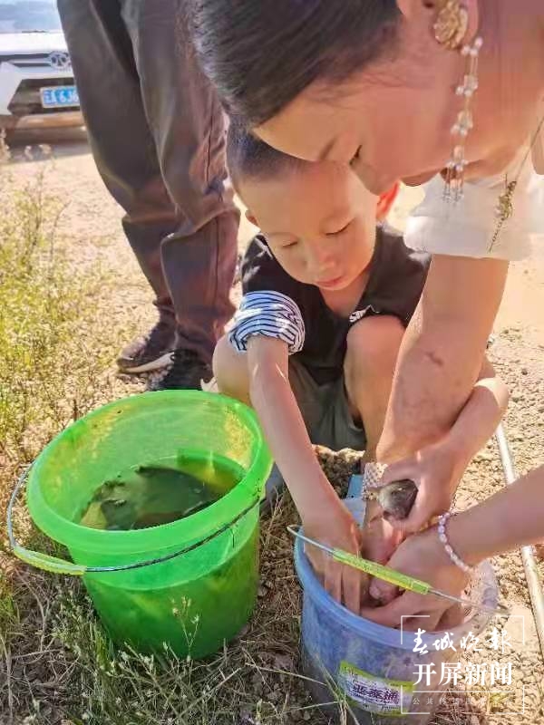 来寻甸稻田摸鱼，纵享田园牧歌.jpg
