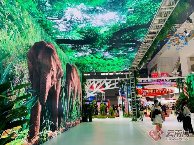 第十七届深圳文博会开幕 云南展区绚丽登场
