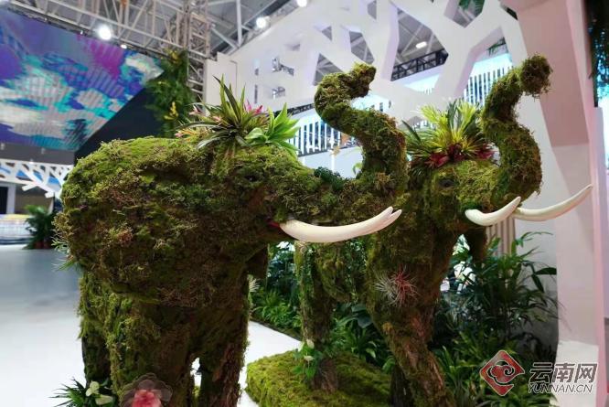 第十七届深圳文博会开幕 云南展区绚丽登场