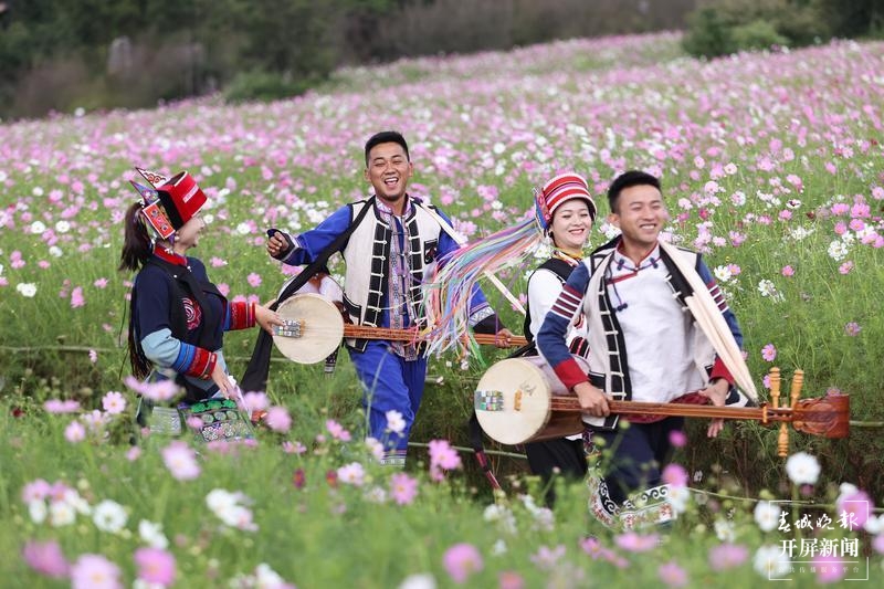乃古石林波斯菊花海太美，要晒晒美图抖抖草