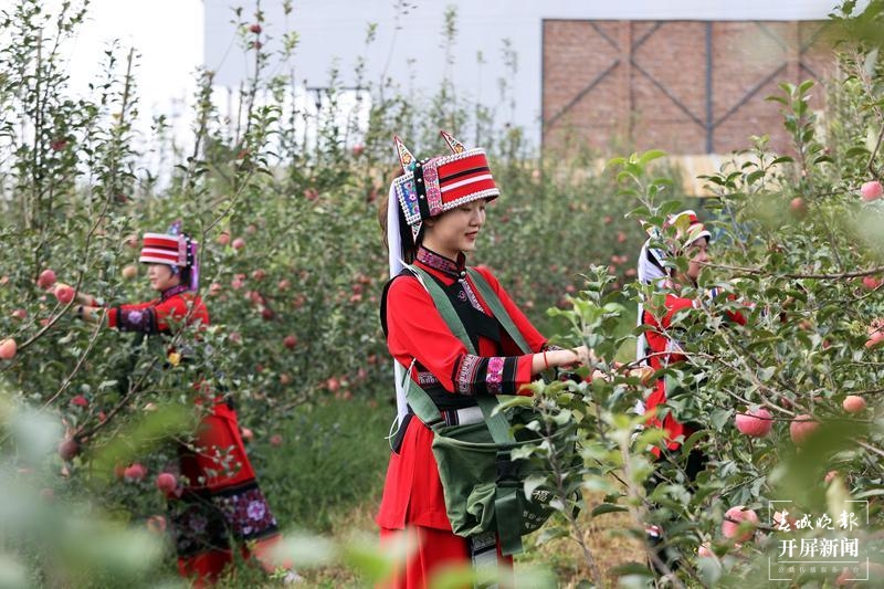 石林圭山变身花果山，7000亩苹果即将进入丰果期