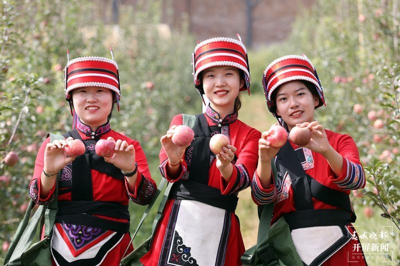 石林圭山变身花果山，7000亩苹果即将进入丰果期